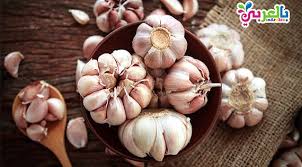 فوائد الثوم ماذا يفعل الثوم بالجسم وما اهم فوائده Garlic Benefits Garlic Health Benefits Garlic