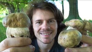 Im folgenden artikel haben wir daher einen kleinen pilzkalender für sie zusammengestellt. Steinpilze Sie Sind Da Wildkrauter Und Pilze Sammeln Im Juni 2021 Youtube