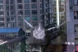 The male sees his reflection in the window and thinks it is a rival trying to usurp his territory. What Does It Mean When A Bird Hits Your Window Read The Full Guide