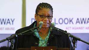 The man tasked with looking after national assembly speaker thandi modise's animals says he left her north west farm because he hadn't been paid and had no food. Sa Na Elects Ramaphosa As President Modise As Na Speaker And Tsenoli As Deputy Speaker