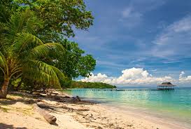 Perbandingan yang cukup kontras bisa dilihat dengan posisi kedua yang ditempati oleh dki jakarta yang hanya memiliki 110. Pulau Tiga Borneo S Survival Island