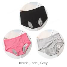 Plus Size Womens Nylon Mesh Menstrual crotchless panties - Leak Proof Incontinence  Briefs for Periods - Lingerie Set