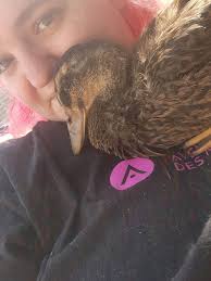 Can a bird sense when you're feeling sad?