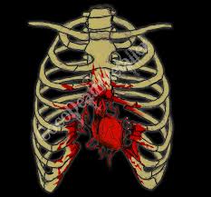 How does the heart beat? Heart And Rib Cage T Shirt Design By Cocodeathmetaller On Deviantart