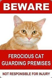 These signs make for a terrific and affordable present. Funny Beware Of Cat Signs To Be Taken Seriously Cat Signs Cute Animal Memes Cats