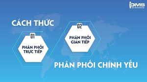 Chiến lược phân phối là gì? Phân loại và các bước xây dựng