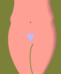When it comes to pubic hair removal, trimming with a pair of scissors is your safest option. How To Grow Out Pubic Hair