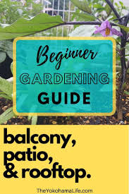 Maybe you would like to learn more about one of these? How To Start Your Own Balcony Patio Or Rooftop Garden In A City Gardening For Beginners Rooftop Garden Gardening Tips