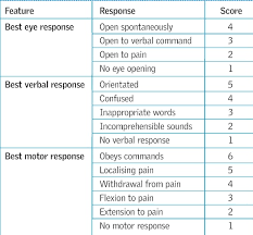 The Glasgow Coma Scale And Other Neurological Observations