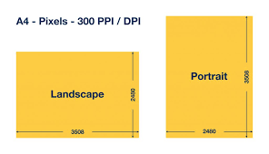Yet many people go through the trouble of setting their images to 72 dots per inch ( dpi ). A4 Size In Pixels Convenient Calculator With Different Dpis