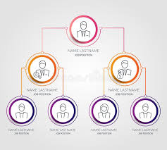 Business Hierarchy Hexagon Chart Infographics Corporate