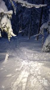 About tove alexandersson, biography of tove alexandersson, history of tove alexandersson, so please read our quick and short description about tove. Tove Alexandersson Skimo Training In Sweden Facebook