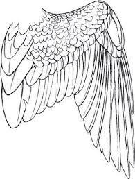 I repositioned the scapulae further apart from the spine, thus giving the mutant more flexibility in the. Image Result For Folded Wings Wings Drawing Wings Art Eagle Drawing