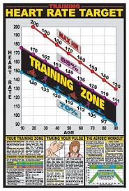 Cardio Training Zone Professional Fitness Wall Chart Poster