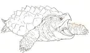 You might also like these coloring pages: Snapping Turtle Drawing Easy Peepsburgh