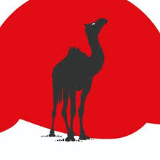 In this tutorial we will create a simple application to integrate camel and activemq. Black Camel Pictures Blackcamelpic Twitter