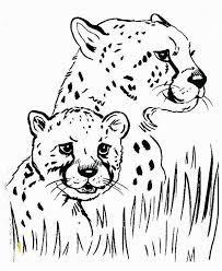 Awesome cheetah coloring pages for kids & adults with video tutorial | kab this free cheetah coloring page is a perfect activity for those who love animals! Real Cheda Coloring Pages For Kids Coloring Pages Ideas