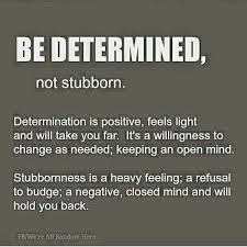 I Struggle With Crossing Over To The Stubborn Side The Majority Of The Time Keep Working Good Morning Goodmorn Stubborn Quotes Words Inspirational Words