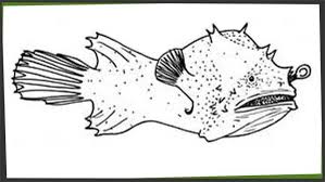 We did not find results for: Fun Fish Facts For Crossword Puzzle Lovers Word Grabber Com