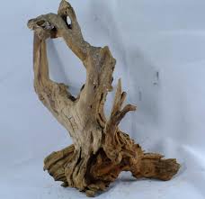 Learn how to source and prepare aquarium driftwood. Pin On Pet Care Assistant
