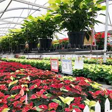 Maybe you would like to learn more about one of these? 10 Gift Specialty Shops In North Dakota That You Shouldn T Miss