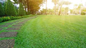 Dann verbrennt der rasen recht schnell. Rasenpflege Im Fruhjahr Was Muss Ich Beachten Brigitte De