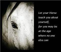 Horse Quotes Black Male Equestrians