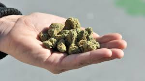 Using Cannabis Daily Or Using High Potency Weed Increases