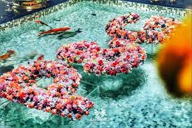 Maybe you would like to learn more about one of these? 15 Unique Ways To Decorate The Pool Poolside Area At Your Wedding Venue Shaadisaga