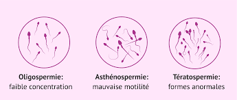 Tératospermie traitement naturel