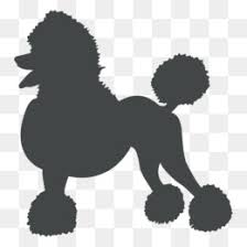 Some standard poodle puppies for sale may be shipped worldwide and include crate and veterinarian checkup. Standard Poodle Png Standard Poodle Decals Standard Poodle Cartoon Standard Poodle Art Black Standard Poodle Cartoon Standard Poodle Patterns Standard Poodle Love Standard Poodle Logo Standard Poodle Diagrams Standard Poodle Artwork Standard Poodle