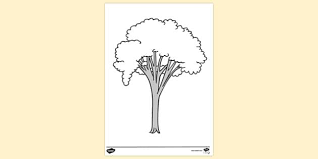Elm is the english name given to this plant; Free Elm Tree Colouring Sheet Colouring Colouring Sheets