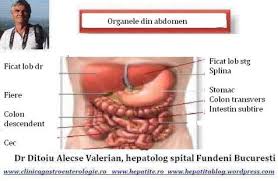 Sep 12, 2012 · inima este unul dintre cele mai importante organe ale corpului uman şi funcţionează asemenea unei pompe musculare ce distribuie sângele ȋn ȋntreg organismul. De Ce Doare Burta In Dreapta 0758751841 Cabinet De Gastroenterologie Si Hepatologie Bucuresti