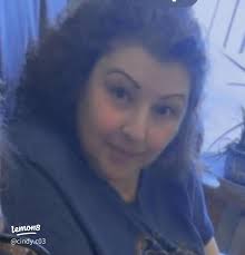 Meet Cindy: My Life as a Pet