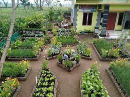 Minda kita akan menjadi lebih segar dan produktif. Kreatif 18 Gambar Model Kebun Sayuran Di Pekarangan Rumah