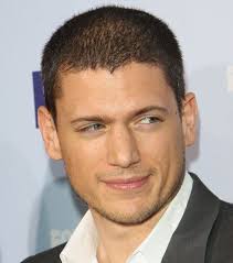 You Family Celebs Who We Didn T Know Were Black Wentworth Miller The Human Stain Celebs