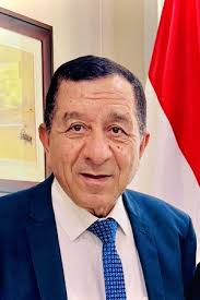 Egypt wants Korean companies in chemical industry: former governor