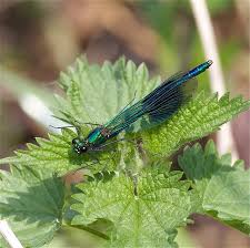 file_2028x2025_032209