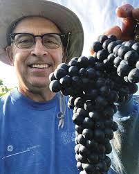 White Squirrel Winery becomes largest producer of wine grapes in Tennessee 