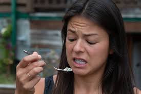 How to Acquire a Taste: My Black Licorice Experiment