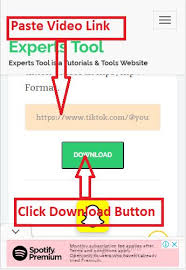 Tiktok Video Downloader Download Tiktok Videos Without Watermark Experts Tool Video Videos Short Status