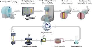 Offering a comprehensive design, print and copying service s & n colour printers are a sheffield based printing company. Digital Light 3d Printing Of Customized Bioresorbable Airway Stents With Elastomeric Properties Science Advances