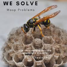 Our pest control treatment and experience is near you. Wasp Nest Removal London 0800 9552347 London Pest Control Experts