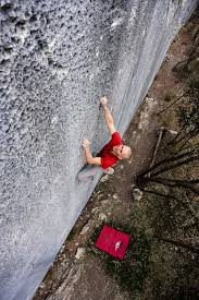 Light grey kitchen ideas ukc events nose work games. Brnqfph Fhdtqm