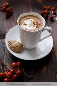 Viennese Hot Chocolate Hot Chocolate Recipes Food Hot Chocolate