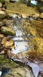 Reflexiones sobre la Fe y el Perdón