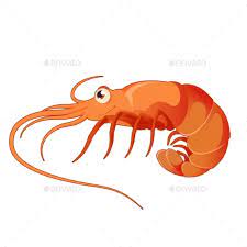 Cartoon Shrimp Shrimp Cartoon Cartoon Design Template