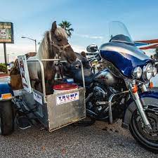 Horse On A Hog Crazy Motorcycle Motorcycles Bike Funny Motorcycle Horses Funny Horse