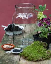 Diy Glass Jar Terrarium Succulent Garden Diy How To Make Terrariums Orchid Terrarium
