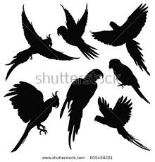 Birds Of The Same Feather Flock Together Meaning In Bengali Image Result For Lorikeet Silhouette Bird Silhouette Jungle Birds Parrot Drawing